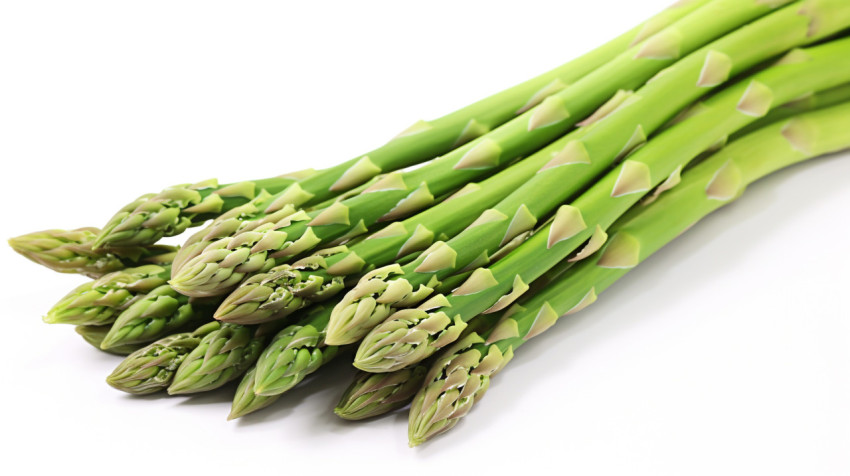 Asparagus Bundle in the white background