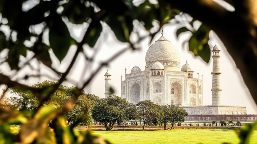 Beautiful the taj mahal taken from behind trees with fujifilm camera on a sunny day