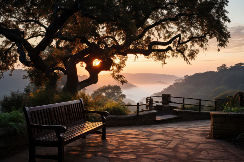 Foggy sunset embraces hilltop bench and tree