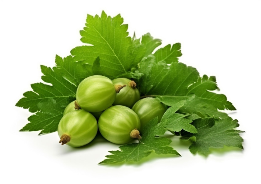 fruit and leaves of goosefruit isolated on white