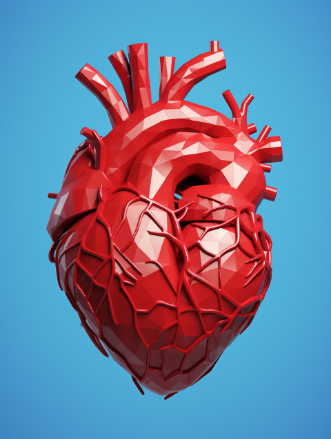 A photo of a vector a human heart, Health and Medical stock image