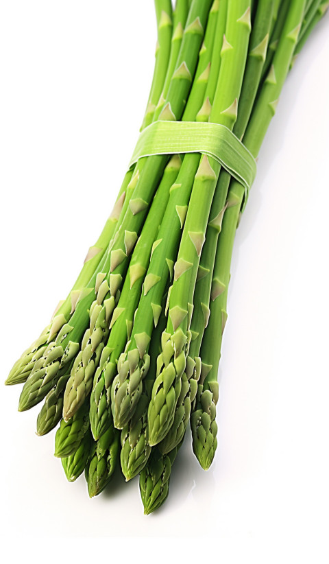 asparagus fresh assorted green stalks isolated on white