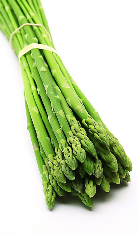 Isolated Asparagus on White