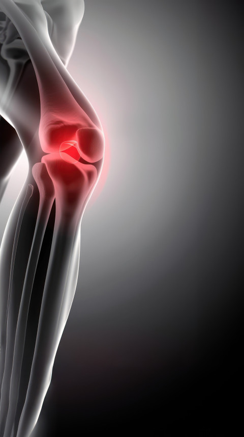 Knee pain with hip knee clinically highlighted red on one side represents issue of healthcare knee pain