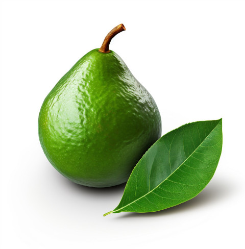 avocado with leaf isolated on white background