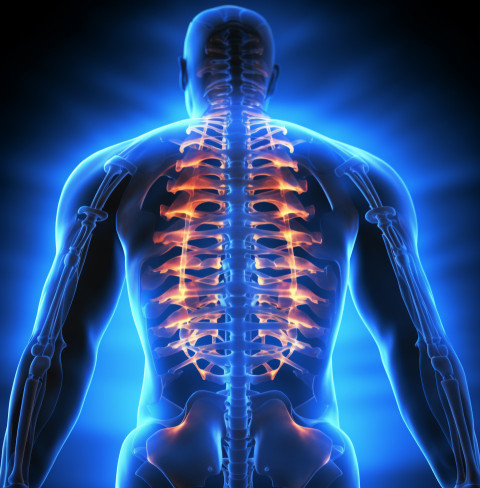 chronic back pain sciatic nerve