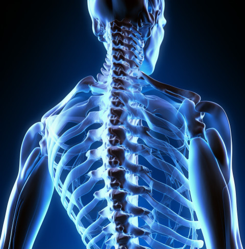 an image of the spine showing some pain